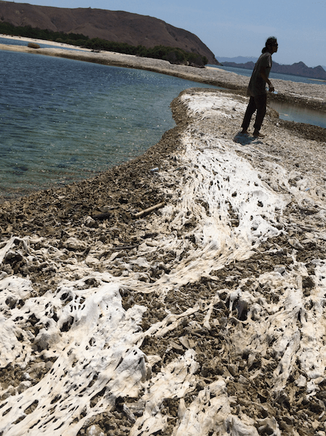 Screen Shot 2014-10-25 at 3.40.53 PM