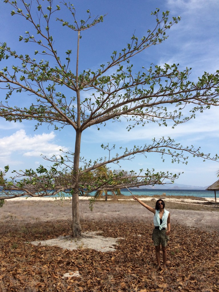 Panas bet di Kanawa. Foto bersama pepohonan kering