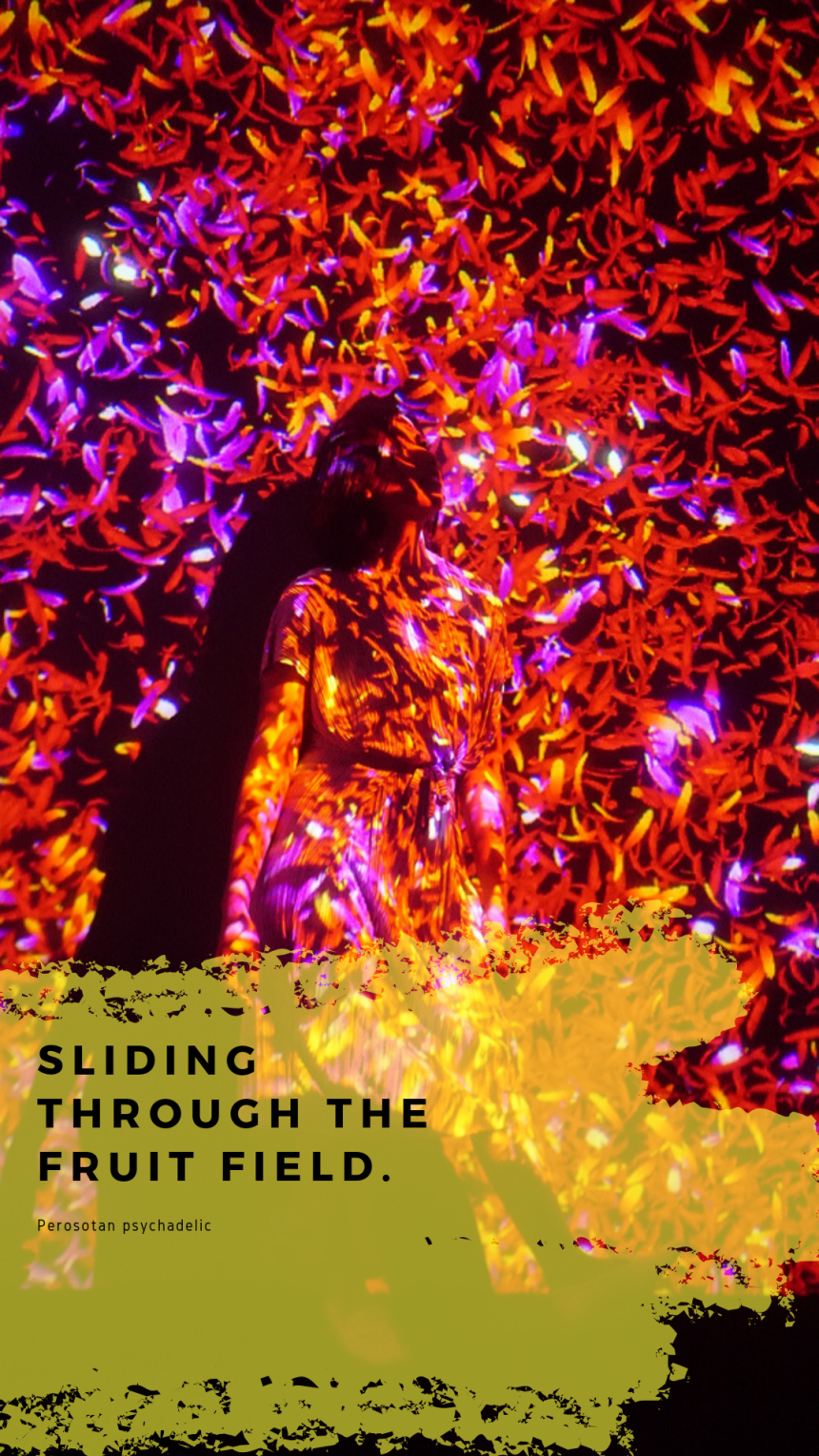 TeamLAB Future Park and Animals Of Flowers Symbiotic Lives. Ini adalah Art Exhibition interaktif terbesar di Jakarta. Lokasi di Gancit dekat EatEat 3.PNG